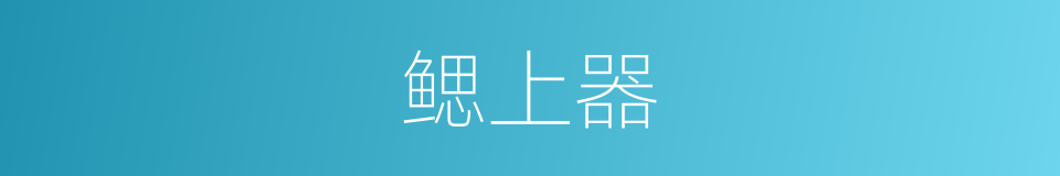 鳃上器的同义词