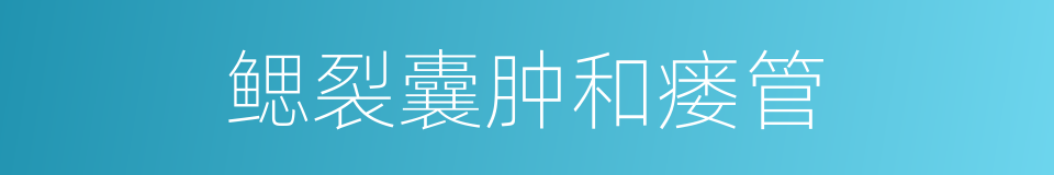鳃裂囊肿和瘘管的同义词