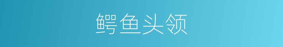 鳄鱼头领的同义词