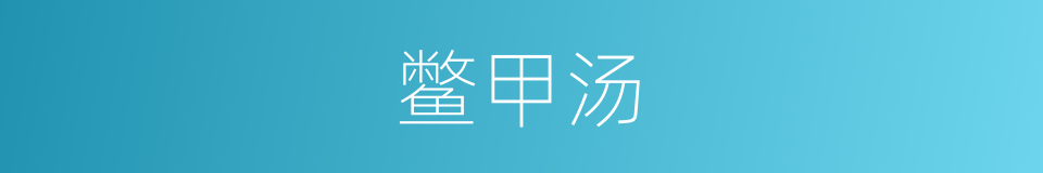 鳖甲汤的同义词