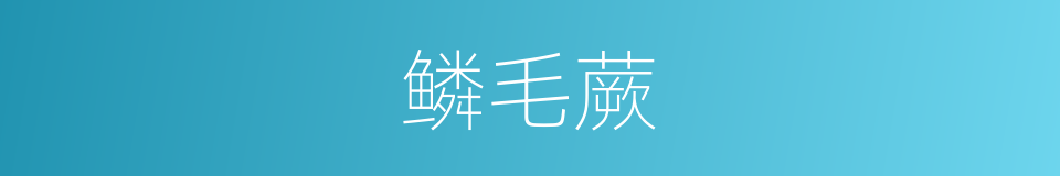 鳞毛蕨的同义词