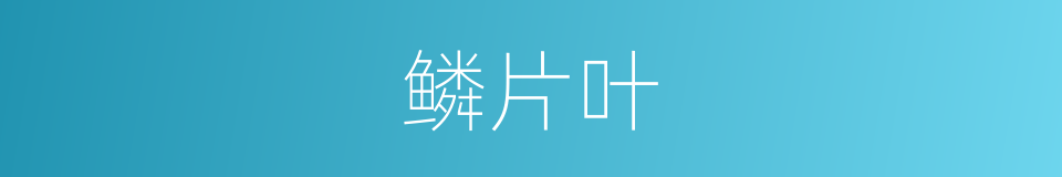 鳞片叶的同义词