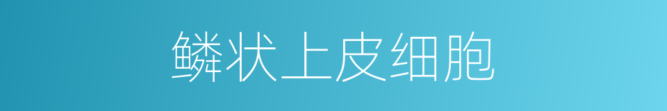 鳞状上皮细胞的同义词