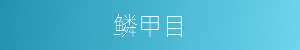 鳞甲目的同义词