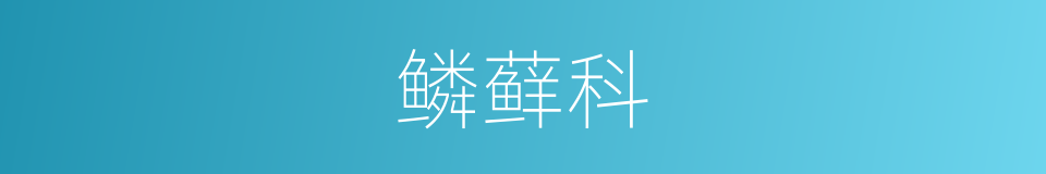 鳞藓科的同义词