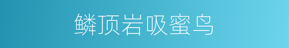 鳞顶岩吸蜜鸟的同义词