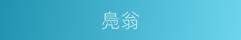 鳧翁的意思