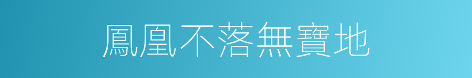 鳳凰不落無寶地的同義詞