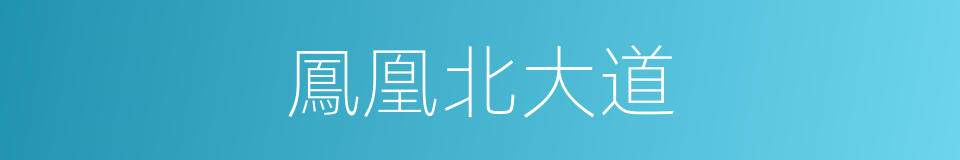 鳳凰北大道的同義詞