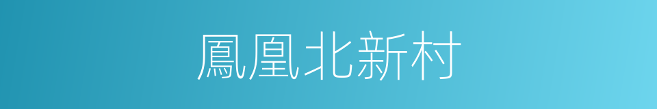 鳳凰北新村的同義詞