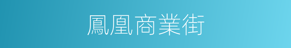 鳳凰商業街的同義詞