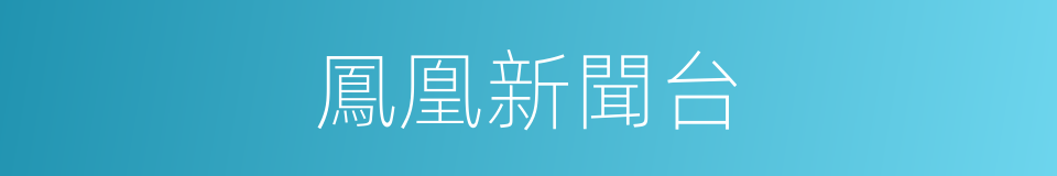 鳳凰新聞台的同義詞