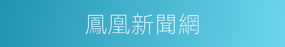 鳳凰新聞網的同義詞