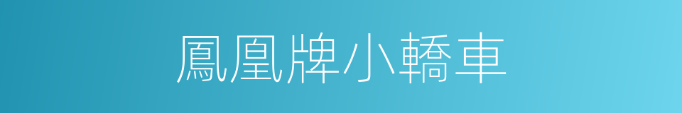 鳳凰牌小轎車的同義詞