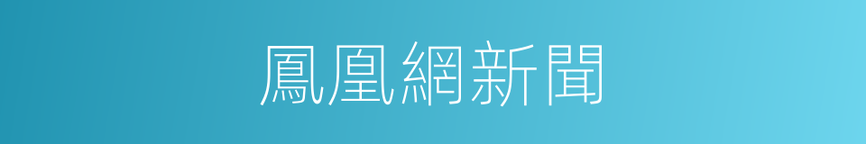 鳳凰網新聞的同義詞