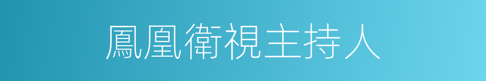 鳳凰衛視主持人的同義詞