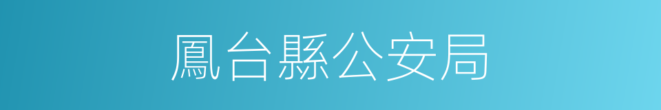 鳳台縣公安局的同義詞