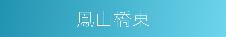 鳳山橋東的同義詞