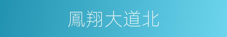 鳳翔大道北的同義詞