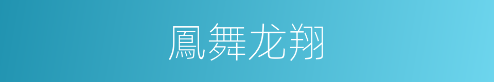 鳳舞龙翔的意思