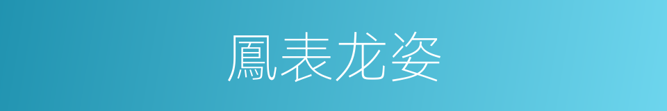 鳳表龙姿的意思