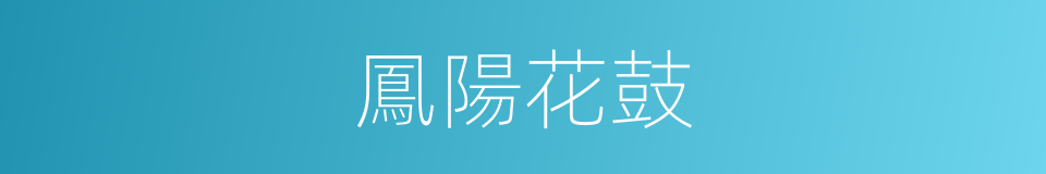 鳳陽花鼓的意思