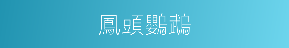 鳳頭鸚鵡的同義詞