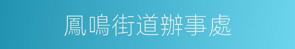 鳳鳴街道辦事處的同義詞