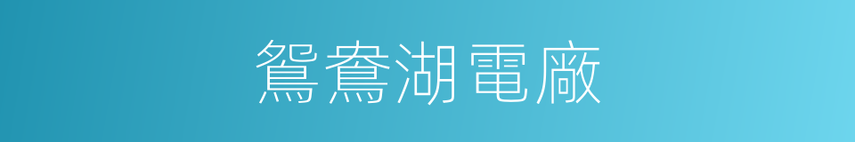 鴛鴦湖電廠的同義詞