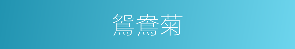鴛鴦菊的意思