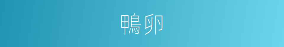 鴨卵的意思
