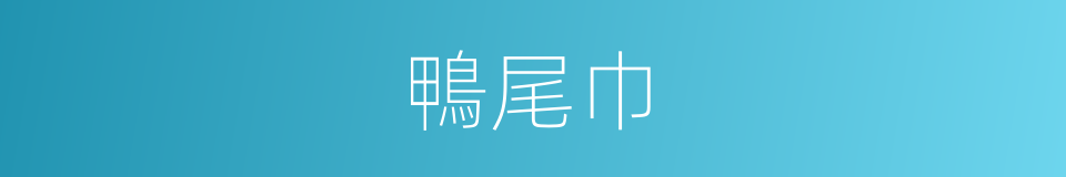 鴨尾巾的同義詞