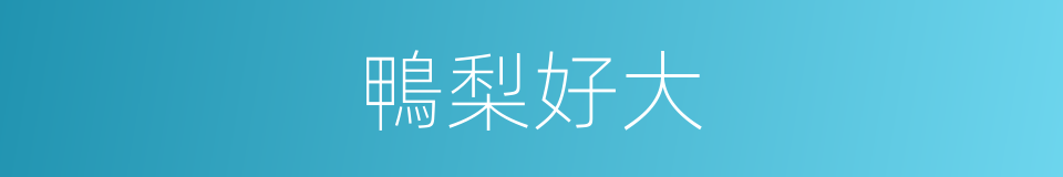 鴨梨好大的同義詞