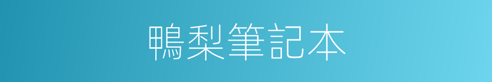 鴨梨筆記本的同義詞