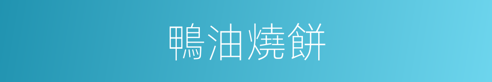 鴨油燒餅的同義詞