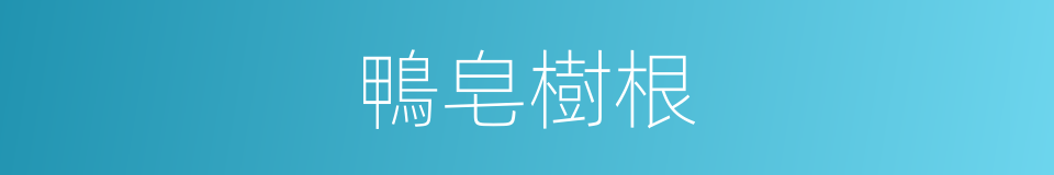 鴨皂樹根的同義詞