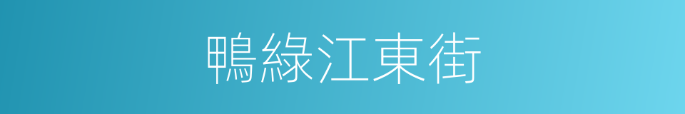 鴨綠江東街的同義詞