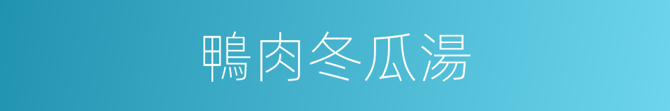 鴨肉冬瓜湯的同義詞