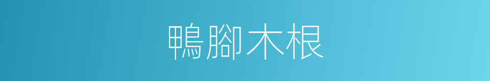 鴨腳木根的同義詞