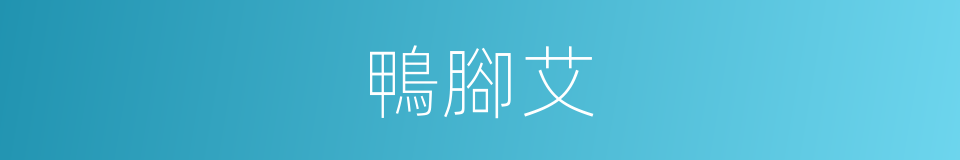 鴨腳艾的同義詞