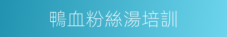 鴨血粉絲湯培訓的同義詞