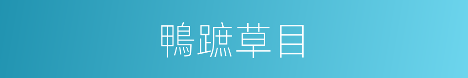 鴨蹠草目的同義詞