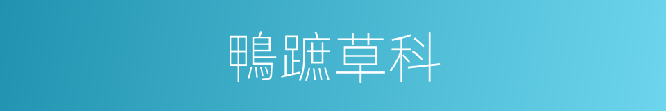 鴨蹠草科的同義詞