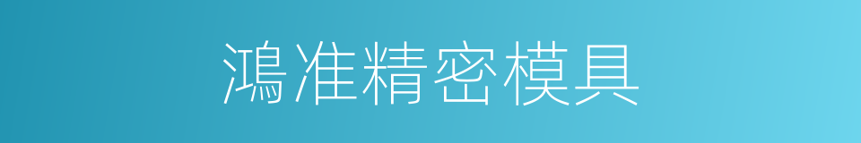 鴻准精密模具的同義詞