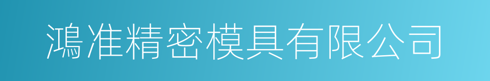 鴻准精密模具有限公司的同義詞