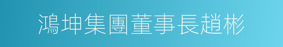 鴻坤集團董事長趙彬的同義詞