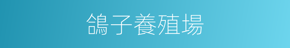 鴿子養殖場的同義詞