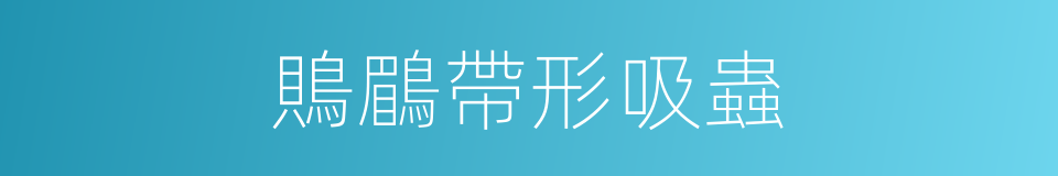 鵙鶥帶形吸蟲的同義詞