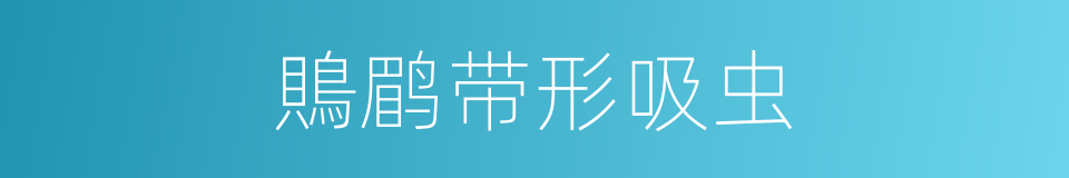 鵙鹛带形吸虫的同义词