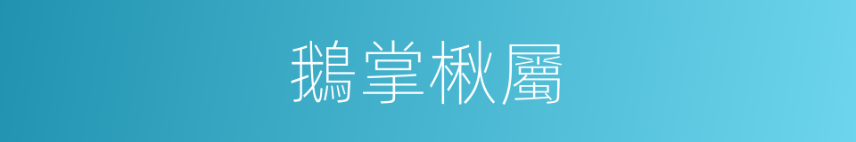 鵝掌楸屬的同義詞
